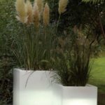 486bface6c741b09162d207cf49bf80c e 650x650