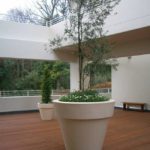 4a8cbda9a8652616b61fb3084a89e896 e 650x650