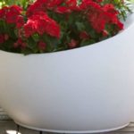 b25e9f1d00261525451e95543b3e735d e 650x650