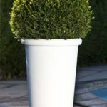 c43806e98216181c420b5c245edc3620 e 650x650