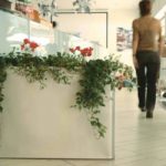 d24544a0ffbaf57ae2ee7402b647a042 e 650x650