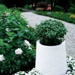 d5d9a163c9c537c2fdde0adff0665ef6 e 650x650